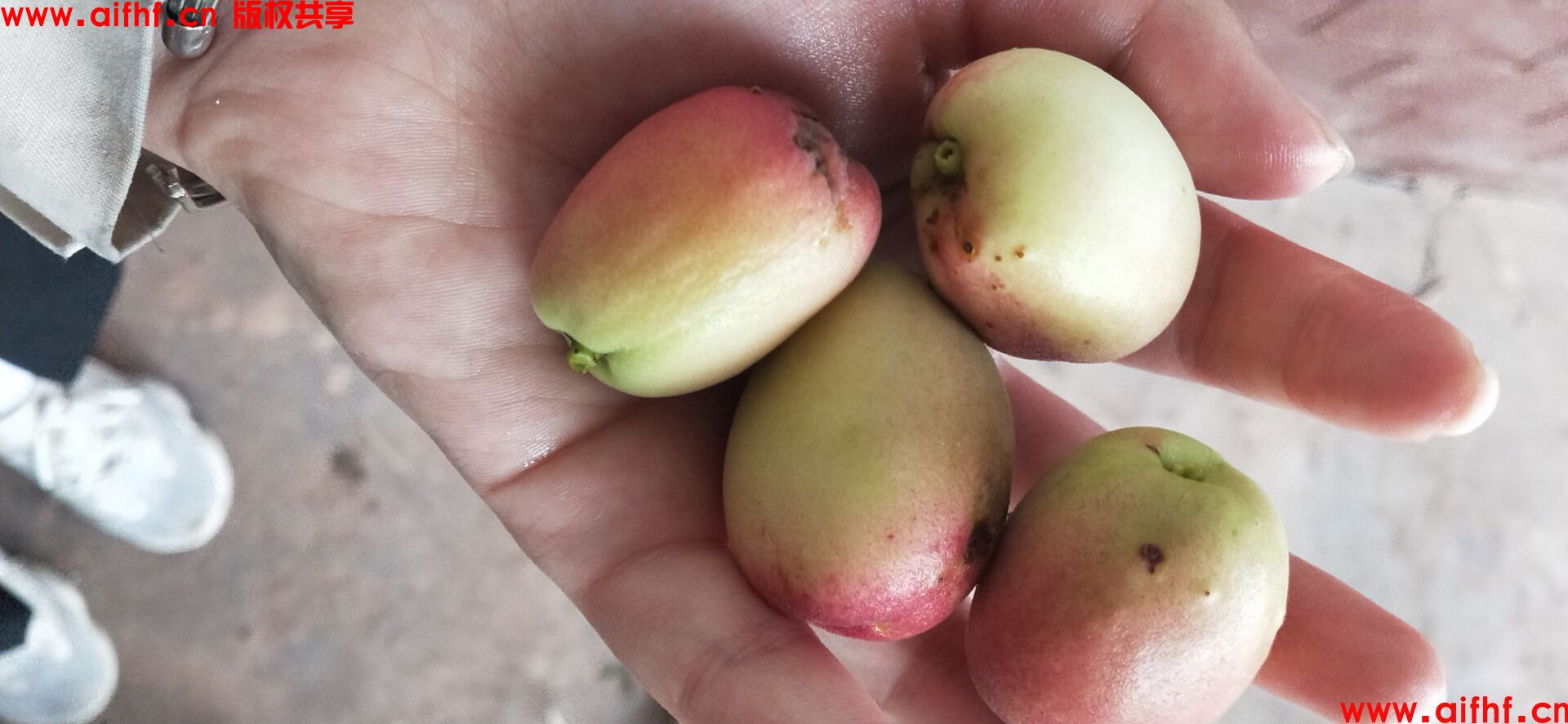 HE就是he ：美食大变样